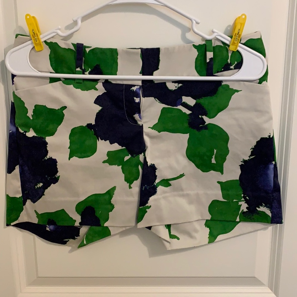 The Limited shorts
